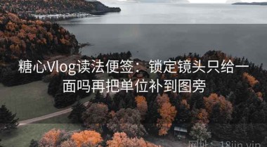 糖心Vlog读法便签：锁定镜头只给一面吗再把单位补到图旁
